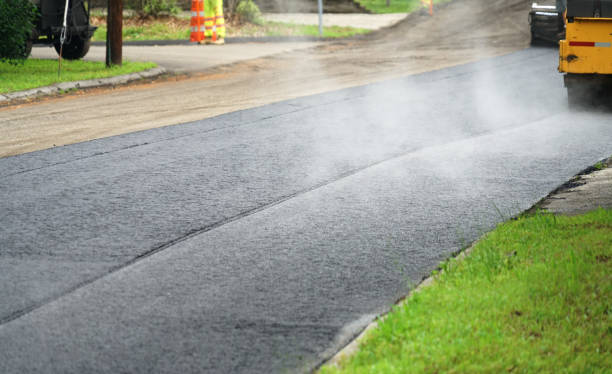 Best Driveway Paving Near Me  in Walden, TN